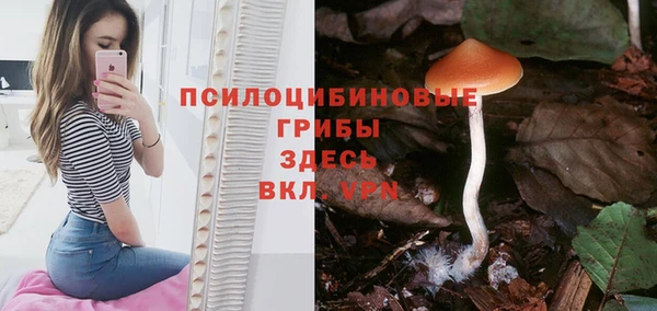 СК Абаза